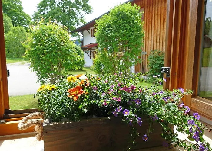 Murmeltier Apartament *